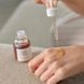 Відновлювальна сироватка з женьшенем та муцином равлика Beauty of Joseon Revive Serum Ginseng + Snail Mucin 0006 фото 2